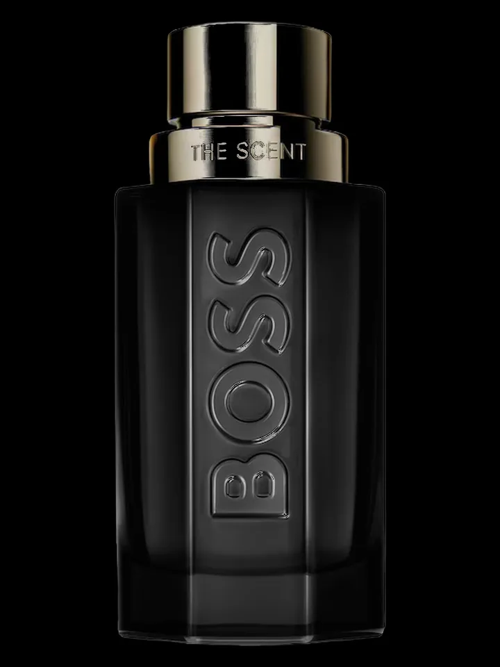 Hugo Boss Boss The Scent Magnetic For Him