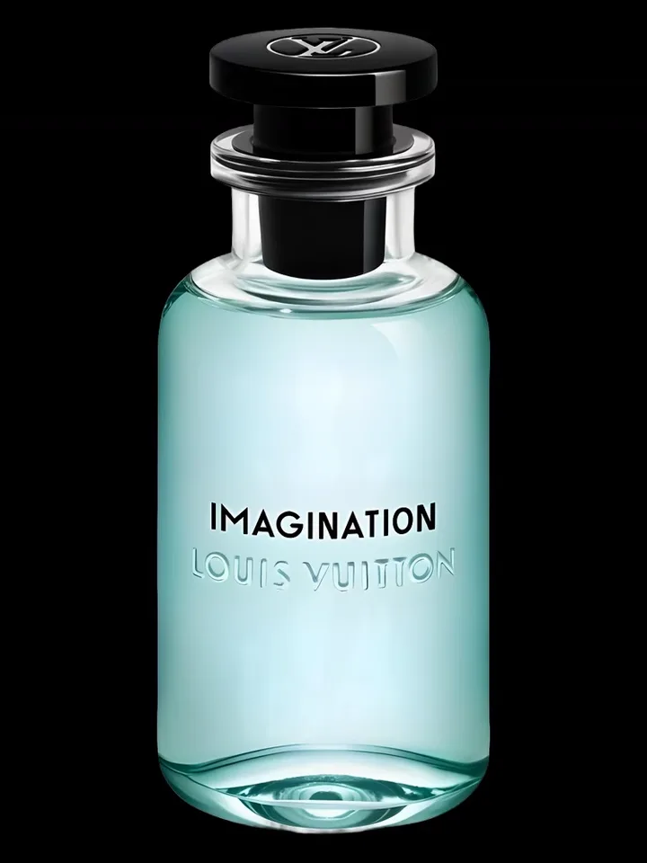 Louis Vuitton Imagination